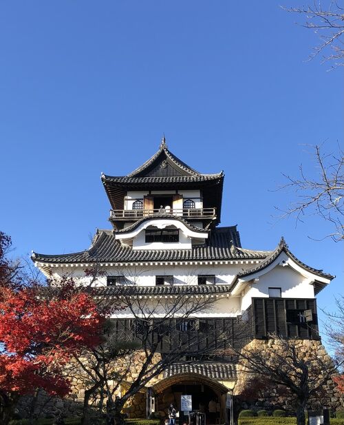 美しい古美術◼️蔵から可愛い犬のかなり雰囲気のある水差しが出て来ました、茶道具 青森県立美術館の「あおもり犬」が化粧直し 開館17年以来初