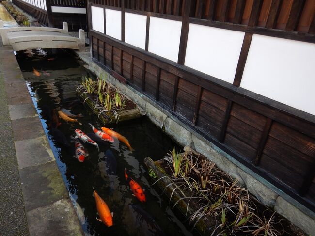 台湾から戻った3日後、家族で津和野＆萩へ。<br />フライト助成、レンタカー助成、食事クーポンが使え、ずいぶんお得に楽しんで参りました♪<br /><br />＜スケジュール＞<br />1/7（土）1555羽田→1735石見<br />1/8（日）1815石見→1950羽田