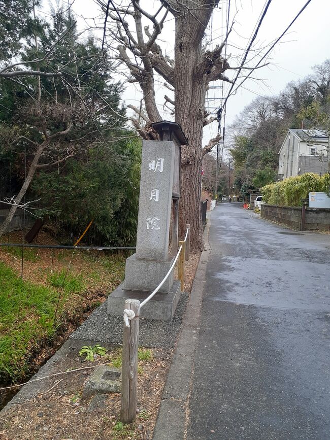 北鎌倉／明月院に行きました&#9855;