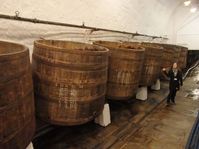 今では世界中で造られている「ピルスナー」はチェコ発祥であり、その始祖がプルゼニュにあるピルスナーウルケル醸造所です。<br /><br />国王から1295年に受けたビールの製造許可をもとに個人醸造が盛んになり、1835年には醸造事業所が誕生したとのこと。1842年にはピルスナーウルケル醸造所が誕生し、画期的な製法と、この地に良質の水や麦・ホップの存在があったおかげで世界で認められるビールが造られるようになったのだそうです。<br /><br />☆&#39;.･*.･:★&#39;.･*.･:☆&#39;.･*.･:★&#39;.･*.･:☆&#39;.･*.･:★&#39;.･*.･:☆&#39;.･*.･:★&#39;.･*.･:☆&#39;.･*.･:★<br /><br />【スケジュール】<br /><br />11月30日(水）関空発<br />12月1日（木）ドバイ→プラハ　　　　　　　（プラハ泊）<br />12月2日（金）プラハ→プルゼニュ　　　　　 (プルゼニュ泊)<br />12月3日（土）ヘプ訪問　　　　　　　　　 　(プルゼニュ泊)<br />12月4日（日）プルゼニュ観光　　　　 　　　(プルゼニュ泊)<br />12月5日（月）プルゼニュ→チェスキー・クルムロフ（チェスキー・クルムロフ泊）<br />12月6日（火）チェスキー・クルムロフ      （チェスキー・クルムロフ泊）<br />12月7日（水）チェスキー・クルムロフ→テルチ（テルチ泊）<br />12月8日（木）テルチ→ブルノ　　　　　　　　（ブルノ泊）<br />12月9日（金）オロモウツ訪問　　　　　　　　（ブルノ泊）<br />12月10日(土）ブルノ→ターボル　　　　　　　（ターボル泊）<br />12月11日(日）チェスケ・ブジェヨヴィッツェ　（ターボル泊）<br />12月12日(月）ターボル→プラハ　　　　　　　（プラハ泊）<br />12月13日(火）プラハ　　　　　　　　　　　　（プラハ泊）<br />12月14日(水）プラハ　　　　　　　　　　　　（プラハ泊）<br />12月15日(木）プラハから帰国便へ<br />12月16日(金）関空着<br /><br />行けただけでも＆無事帰国できただけでも感謝しないといけないことはよ～くわかりながら、贅沢言うと、ブルノとプラハでもう一泊、ターボル泊をチェスケ・ブジェヨヴィッツェ泊にしてターボル訪問した方がよかったかな？などあるのですが、無事帰国させていただけて感謝！感謝！！です。