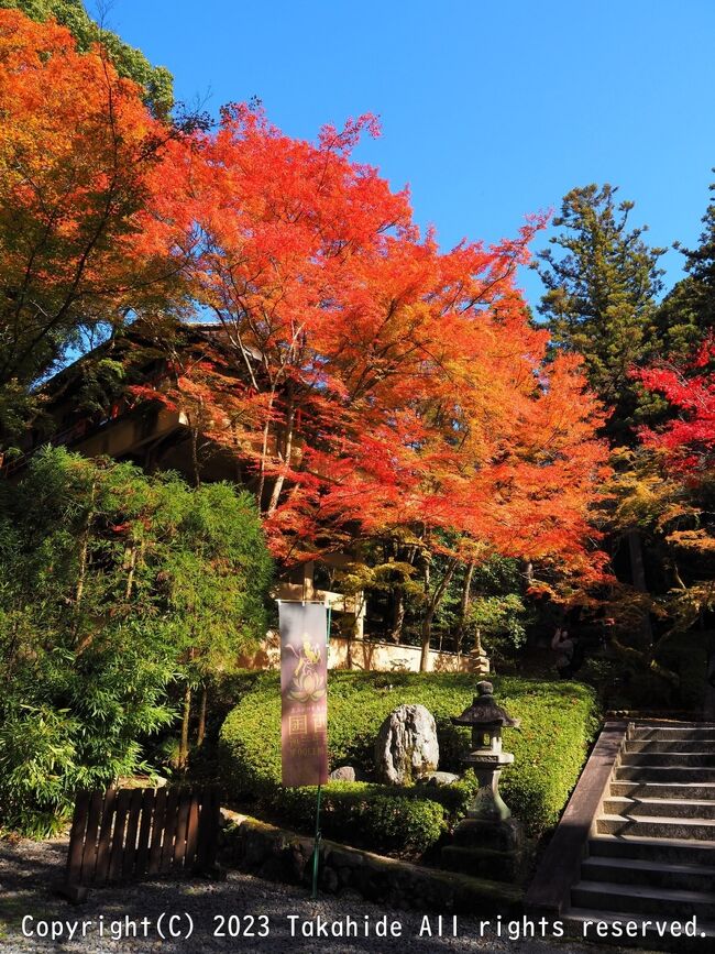 西国三十三所徒歩巡礼(三井寺駅→⑭三井寺→[外]元慶寺→⑮今熊野観音寺→⑯清水寺→⑰六波羅蜜寺→⑲行願寺→⑱頂法寺→東向日駅)