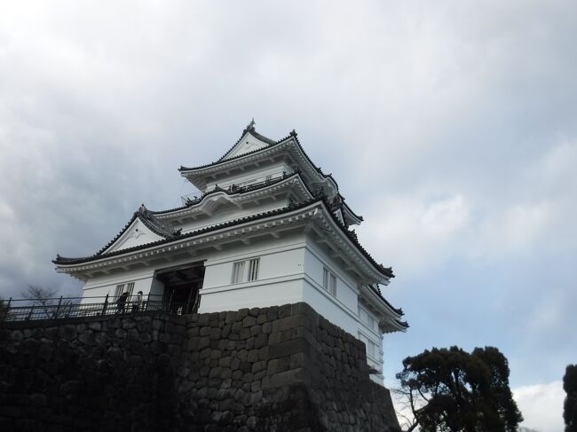 小田急ロマンスカーに乗って小田原城を見に行きました