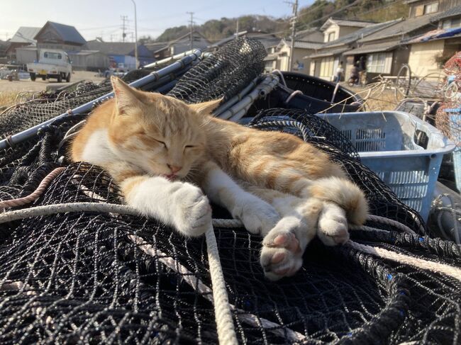 二泊三日の福岡の旅、<br />最終日には世界六大猫スポットの一つと言われる<br />（↑今回初めて知ったけど）<br />相島に行き、また新幹線で博多から帰京しました。