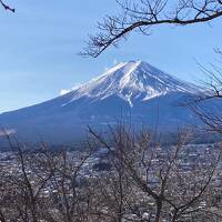 富士山三昧の旅