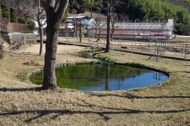 １月28日(土)は、京王相模原線の京王堀之内という駅で下車しました。ここは八王子市。駅前に高低差が有ります。せせらぎ緑道を歩いて、長池公園へ行きました。四ツ谷に有った橋が長池見附橋となっています。僅かに雪が散っており、真冬の散歩道でした。<br />尾根幹線道路を超えると、神奈川県でしょうか。いいえ、そこは町田市でした。鶴見川流域最高点という山王塚を見て、道を下りました。鶴見川の源流、最初の１滴は分かりませんでした。「鶴見川源流の泉」は最上流ではなさそうですが、湧水のようで、綺麗でした。<br />この辺りを南北に行き来し、複雑な谷をアップダウンし、社寺などを巡りました。じんわり、汗が出ました。<br />お昼、団地の間の三和というスーパーで高カロリーなチキン南蛮の弁当を買い、日なたで食べました。冷たいのが旨かったです。<br />「奈良ばい谷戸」という里山の道を歩きました。小町井戸という水溜まりが有ります。城跡っぽいなと思いながら歩きました。小野神社へお参りし、ゴールとしました。<br />あまり詳しくないのですが、いわゆる「よこやまの道」と古道を歩いたと思います。わりと歩いている人を見掛けました。憩いと交流の場となっているようで、住民と行政の良い感じの連携が感じられました。