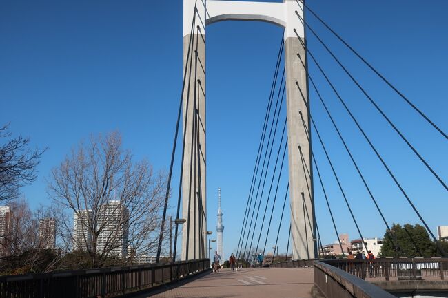 あれ<br />https://4travel.jp/travelogue/11323062<br />から5年が経ち、再び免許の更新になりましたので、今回は免許の更新です<br /><br />いつもは都庁へ、前回はいろいろとあって府中へ行きましたが、都庁は平日のみ、府中は駅から遠いので、今回は江東の試験場へ行ってみました<br />お昼過ぎには終わったので、近くの木場公園でお散歩してきました<br /><br />【表紙の写真】木場公園大橋の先にスカイツリー