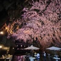 最終日は台風並みの大荒れの天気に、ついに帰り便が欠航しました！！（奈落の底編）