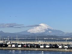 全国旅行支援湘南藤沢市