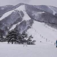 ７年ぶりの斑尾高原＋ちょっぴり野沢温泉