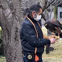 仙巌園で鷹狩を見て、桜島に渡り月讀神社で参拝。