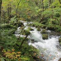 苦難続きの青森旅行２泊３日①奥入瀬・十和田湖