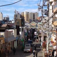 東京二日目、谷根千あたりを歩き、三日目はすみだまち歩きツアーに参加。脚を挫いたが頑張ったの巻