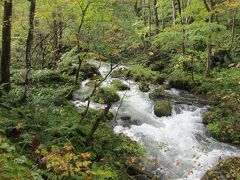 苦難続きの青森旅行２泊３日①奥入瀬・十和田湖