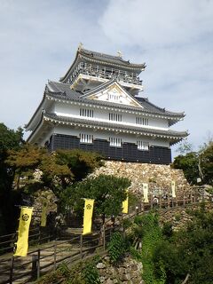 岐阜県：岐阜城、郡上八幡城、加納城（その1）