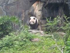 2022年11月　3年ぶりの台湾．３(台北市内･九分･金瓜石･十分･動物園･美麗華百楽園)