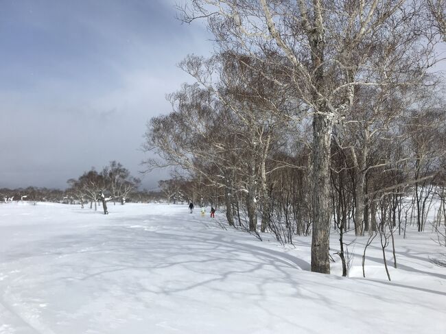 長期休暇の年末年始や春にしか来たことがない北海道。手頃なパックを発見し、インバウンドが戻る前のニセコへ最後のチャンスとの大義名分で２月にエイヤと乗り込むも、リフト運行中止や空港大混乱など、大雪過ぎました^^;<br /><br />ANAトラベラーズダイナミックパッケージ：<br />広島ー新千歳　フライト＋宿泊<br />ヒルトンニセコビレッジ【朝食付き】<br />フォース　4名一室利用<br />4名合計：211,640円＋ANAスカイコイン50,160円<br /><br />Jネットレンタカー：<br />ワゴンクラスW3<br />６日間免責込み40,790円