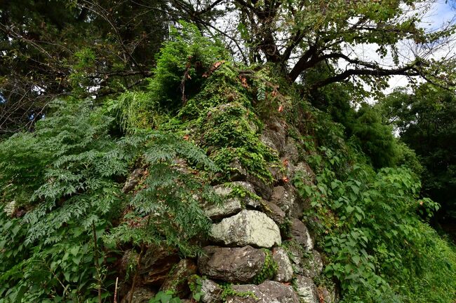 岐阜県：岐阜城、郡上八幡城、加納城（その3）