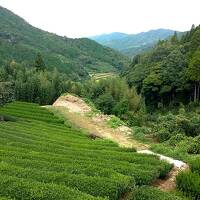 九州３泊４日 ③　八女～天草　