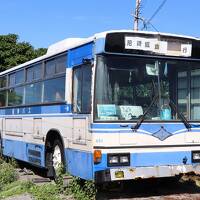 サンゴ礁の沖永良部島をレンタカーで周る旅（２）