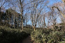 真冬の箱根旅♪　Vol.34 ☆強羅：ニコライ・バーグマン　箱根ガーデンズ♪