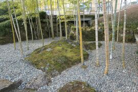 真冬の箱根旅♪　Vol.45 ☆強羅：箱根美術館　美しい日本庭園♪