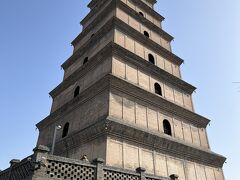 美術館・博物館