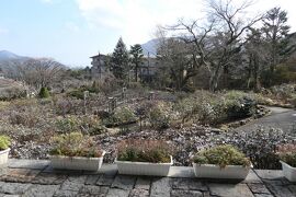 真冬の箱根旅♪　Vol.65 ☆強羅：箱根強羅公園　美しい冬の風景♪