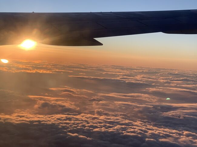 旅行最終日です。<br />予定ではカムイスキーリンクスに行くつもりでしたが、<br />ものすごい雪で断念して、<br />昨夜行ったサンタに行くことにしました。