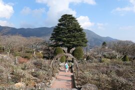 真冬の箱根旅♪　Vol.66 ☆強羅：箱根強羅公園　美しい冬の風景♪