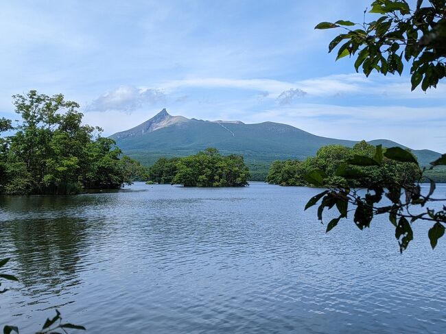 夏の函館・大沼公園２泊3日の旅行記です。<br />実はこの旅行記に先立つちょうど半年前、真冬の2月に函館に行っていました。<br />一面雪と氷の世界で、これ夏に来たらぜんぜん違うだろうね、なんて話していたら本当に夏に来ることに。<br /><br />冬来た時によかった大沼公園に滞在し、周辺をめぐります。<br /><br />同じ場所にまったく違う季節に来たらどうなるか。答え合わせをするような気分。いつもと少し違う旅の楽しみ方でワクワクしながらひこーきに乗り込むのでした。<br /><br />小６お姉ちゃんと小２坊主（卵アレもち）、おくさんとおくさんの手下のカビゴンさんとのおでかけです。<br /><br /><br />［半年前に行った真冬の函館旅はこちら。見比べるとおもしろいです！］<br />https://4travel.jp/travelogue/11739760<br />北海道新幹線で駆け抜ける子連れ冬旅1泊2日。温泉＆冬遊びで大満足の函館ほぼ弾丸旅！