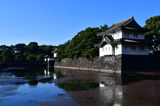 　久し振りに秋田を訪れた。<br /><br />　秋田県：秋田城、久保田城、本荘城を訪れた。<br />　最終日は早めに移動し、東京では江戸城をささっと訪れた。<br /><br />　何だかんだで絶好の天候に恵まれたのは最終日の江戸城訪問だった。<br /><br />　とりあえずきりたんぽ鍋は食べられた。