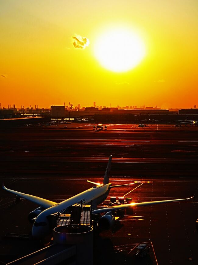 東京国際空港（英語: Tokyo International Airport）は、東京都大田区羽田空港に所在する国際空港。通称は羽田空港。<br />成田国際空港（成田空港）と並ぶ日本最大の空港の1つ。2019年の乗降客数は、世界5位となった。<br /><br />東京都大田区の海老取川を挟んだ東方、東京湾側に所在する。1931年8月25日に「東京飛行場」として正式開港以来、東京及び首都圏を代表する空港である。日本航空と全日本空輸、スカイマーク、ソラシドエア、AIRDOが国内線ハブ空港として利用している。このほか、チャーター便やビジネスジェットが乗り入れている。<br /><br />埋め立てによる拡張により、成田国際空港を超える日本最大の面積を有する空港となり、現在の羽田空港の敷地面積は約1,522ヘクタールである。また、24時間運用が可能な空港の1つである。深夜から未明の時間帯にかけては国際線や貨物便が発着している。第3ターミナルビルの開館時間は24時間である。ただし、国内線については、定期便の運航時間帯に合わせ、国内線の各ターミナルビルの開館時間を第1ターミナル、第2ターミナルとも5:00 - 24:00頃としている。<br /><br /><br />