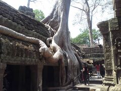 アンコール遺跡をめぐる（その３：タプローム寺院、バプーオン）