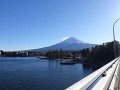 青木ヶ原樹海