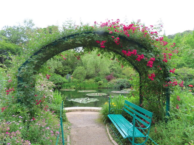 初めての薔薇の季節&多分人生最初で最後のリュウゼツランの花～北川村モネの庭