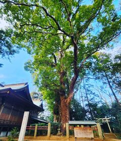 シニアトラベラー！恋する豚研究所&神崎神社満喫の旅②