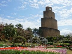 季節の花に逢いに行こう！沖縄2☆カトレアの香りいっぱい熱帯植物園、かぶりつきでジンベイザメ@美ら海