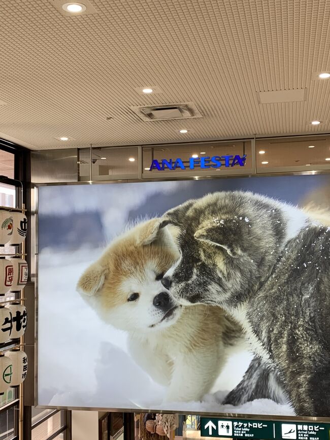 田沢湖高原リゾートホテルニュースカイ　湯瀬ホテル　田沢湖リゾートスキー場！