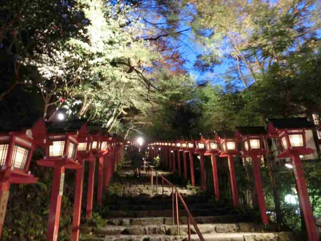 紅葉の京都にポイントを絞って観光しました。貴船神社のライトアップ、紅葉最盛期の神護寺、早朝の清水寺など、イベント満載の3日間でした。