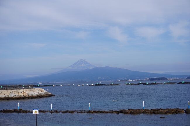 富士山紀行Ⅱ<br />２月２日の工程<br />松濤館→土肥港→清水港→三保の松原→日本平→（久能山東照宮）→妹宅<br />