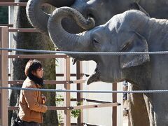 ゾウさんは本当に賢い＼(◎o◎)／！徳山動物園