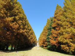 昭和記念公園♪～２０２２・秋～