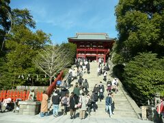 春の予感～、建国記念日祭日の今日は鎌倉行こっ編