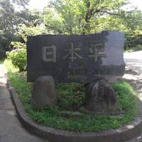 日本平、久能山東照宮、静岡ホビースクエア