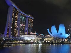 団塊夫婦の東南アジア縦断の旅・２０２３ー入国は面倒でも夜景はすばらしかったシンガポール