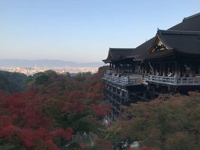 紅葉の京都3日目です。早朝の清水寺を満喫。ホテルでたっぷりの朝食をいただいてから、詩仙堂を観光。<br />ANAで伊丹空港から帰宅です。
