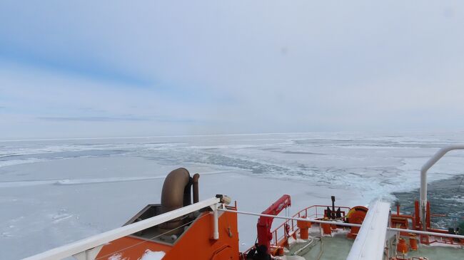 旅の2日目は、紋別港からガリンコ号に乗船し流氷見学です。沖に流氷が無くて見学できない事もままあるという事で、少し心配でしたが添乗員さんが「朗報です。昨日、今年度最初の流氷接岸が確認されたそうです。平年より約2週間遅れです。」とのこと、安心しました。<br />