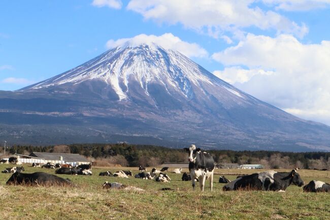 2023年１月　お正月は恒例の御殿場高原時之栖に宿泊、翌日は富士宮やきそばと富士花鳥園と富士山