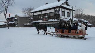 No.3北海道冬の雪景色を巡る（札幌雪まつり、支笏湖氷涛まつり、開拓村）2023年2月5日～7日（2泊3日）