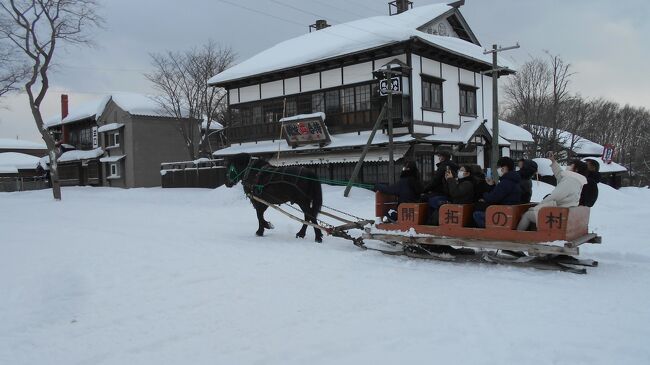 写真は雪の開拓村を走る馬ぞりのリキ君です。<br />開拓村へは昨年の10月に訪れていました。<br />今回は真冬の開拓村を体験してみたいと思い<br />2回目の訪問になりました。<br />雪に覆われた開拓村は北海道のもう一つの顔を<br />私たちに見せてくれました。<br />冬の開拓村は凛として優しく美しかったです。<br /><br />以下で雪の開拓村と友人との再会を報告致します。<br /><br />　＜スケジュール＞<br />2023年2月5日（日曜日）出発<br />JRイン札幌駅南口（2泊） <br />成田空港駅06:20成田空港(鉄道)<br />＜ピーチ便＞（往路）MM565便　バーコードを印刷したが<br />スマホのバーコードをチェックイン機にかざしたら<br />搭乗券が二人分出てきました。<br /> 07:40発　成田第1ターミナル⇒　新千歳国内線ターミナル09:30着<br />（復路）MM576便<br /><br />11：35発の新千歳空港28番　支笏湖行きのバス停ですでに<br />満員なのに国際線バス停、新千歳駅、千歳駅、でも<br />どんどん乗車して超満員でした。<br />1050円はスイカも使用できました。<br /><br />帰りの一番早いのは支笏湖発15：45発、バス停に<br />長蛇の列です。でも3台もバスが来てホッとしました。<br />千歳駅で降りて新札幌駅に行きました。<br />地下鉄の東西線に乗り換えて大通駅で降りました。<br />すすき野に歩いて行きました。<br /><br />2月6日（月）は東西線で大通駅から新札幌で降り<br />更にバスに乗り2022年10月にも行った開拓村へ<br />行きました。<br />2022年10月にもお世話になった<br />札幌の友人Aさんと夕食を共にし<br />楽しい時を過ごしました。<br /><br />2023年02月07日（火）<br />13：15発　新千歳国内線ターミナル⇒<br />成田第1ターミナル15：05着<br />搭乗前のセキュリティーは長蛇の列で<br />出発も遅れました。到着も10分ほど遅れました。<br /><br />2022年10月のブログには<br />「今日は札幌在住の友人と一緒に札幌市内を巡ります。<br />彼はもともと北海道出身ではありませんが転勤した時に<br />札幌の魅力に誘われて在住することを決めたそうです。<br />確かに機能的に整備された都市と周辺にある自然の美しさ、<br />そしてその背景に広がる北海道の広大で豊かな自然には<br />人の心を引き寄せる魅力があります。<br />私たちも7日間の短い旅ですがその一部を堪能してみたいと<br />思います。」とあります。<br /><br />今回もブログ作成に当たっては札幌在住の友人に<br />様々なことを教えていただきまた雪まつりの<br />プロジェクションマッピング動画も提供して<br />いただきました。<br />本当にありがとうございます。<br />動画は容量が大きすぎて掲載不可になってしまい本当に<br />残念です。<br /><br />